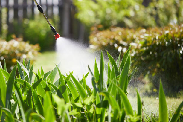 24/7 Emergency Mosquito Control experts in Oak Lawn, IL