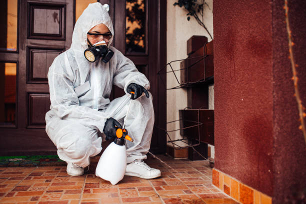 Reliable Mosquito Control contractor in Oak Lawn, IL by Show Me Pest Control