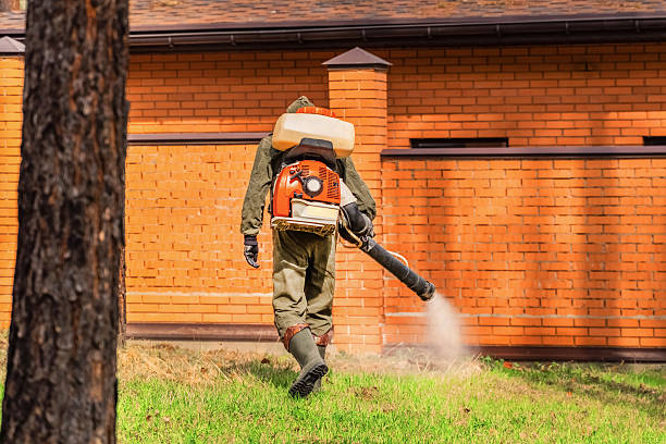 Top rated local Mosquito Control specialists in Oak Lawn, IL
